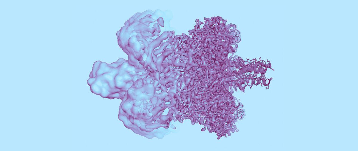 ثبت حرکات میکرو و نانو به طور هم‌زمان با میکروسکوپ دو‌نوره 