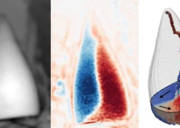 فسیل مغناطیسی ۹۷ میلیون ساله با قابلیت GPS دانشمندان را شوکه کرد