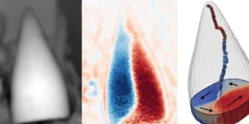 فسیل‌ مغناطیسی ۹۷ میلیون ساله با قابلیت GPS دانشمندان را شوکه کرد