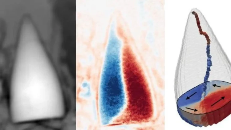 فسیل‌ مغناطیسی ۹۷ میلیون ساله با قابلیت GPS دانشمندان را شوکه کرد