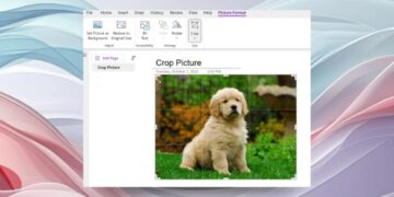 برنامه مایکروسافت واننوت (OneNote) که در حال برش (Crop) یک عکس از یک توله سگ گلدن رتریور است، با گزینههای "Picture Format" در نوار ابزار بالا.
