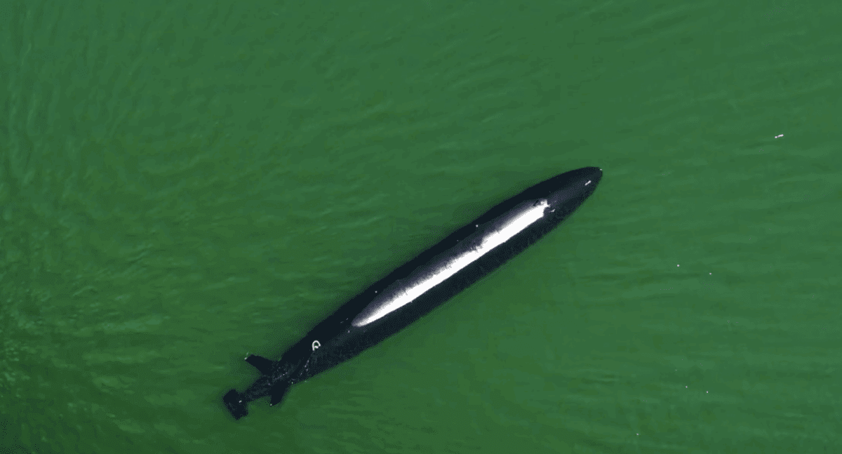 شهپاد Speartooth استرالیا روی آب