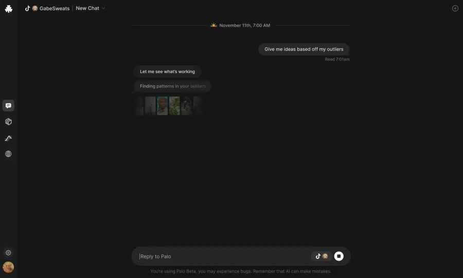 رابط کاربری Palo Chat در حالت تاریک که یک مکالمه را نشان می‌دهد که در آن کاربر از هوش مصنوعی می‌خواهد "Give me ideas based off my outliers" (ایده‌هایی بر اساس موارد پرت افتاده من بده).