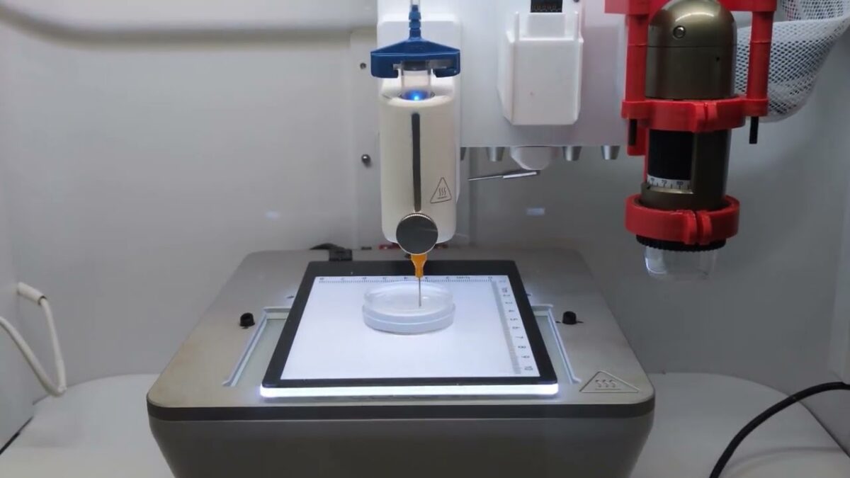 دانشمندان بافت عضله را در شرایط  بیوزنی به صورت سهبعدی چاپ می کنند