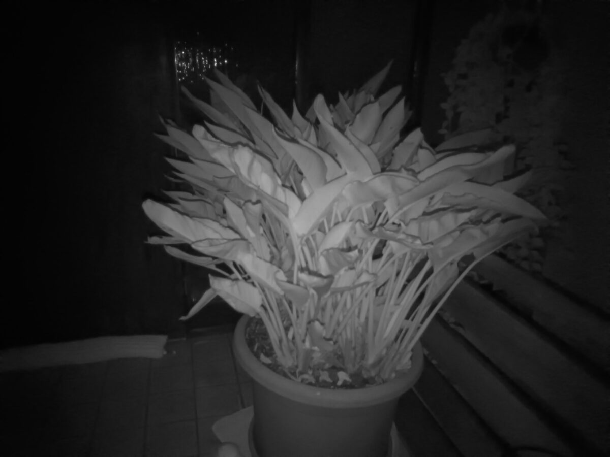 عکس های گوشی Oukitel WP60 در تاریکی مطلق 