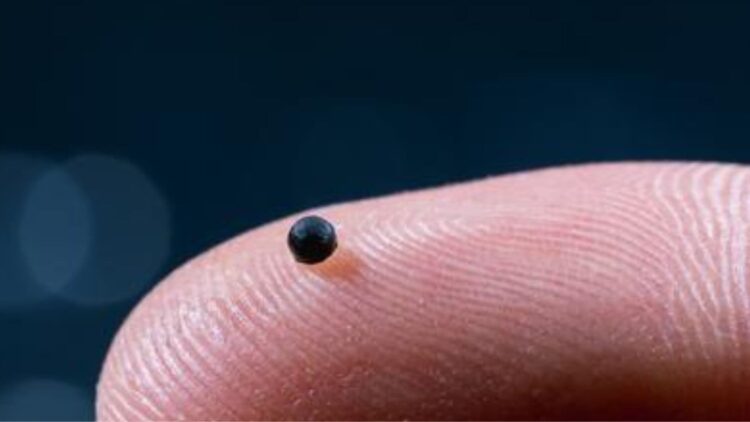 میکروروباتهای مغناطیسی