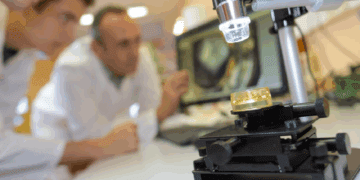 ساخت اولین بافت‌های مغز مصنوعی در آزمایشگاه