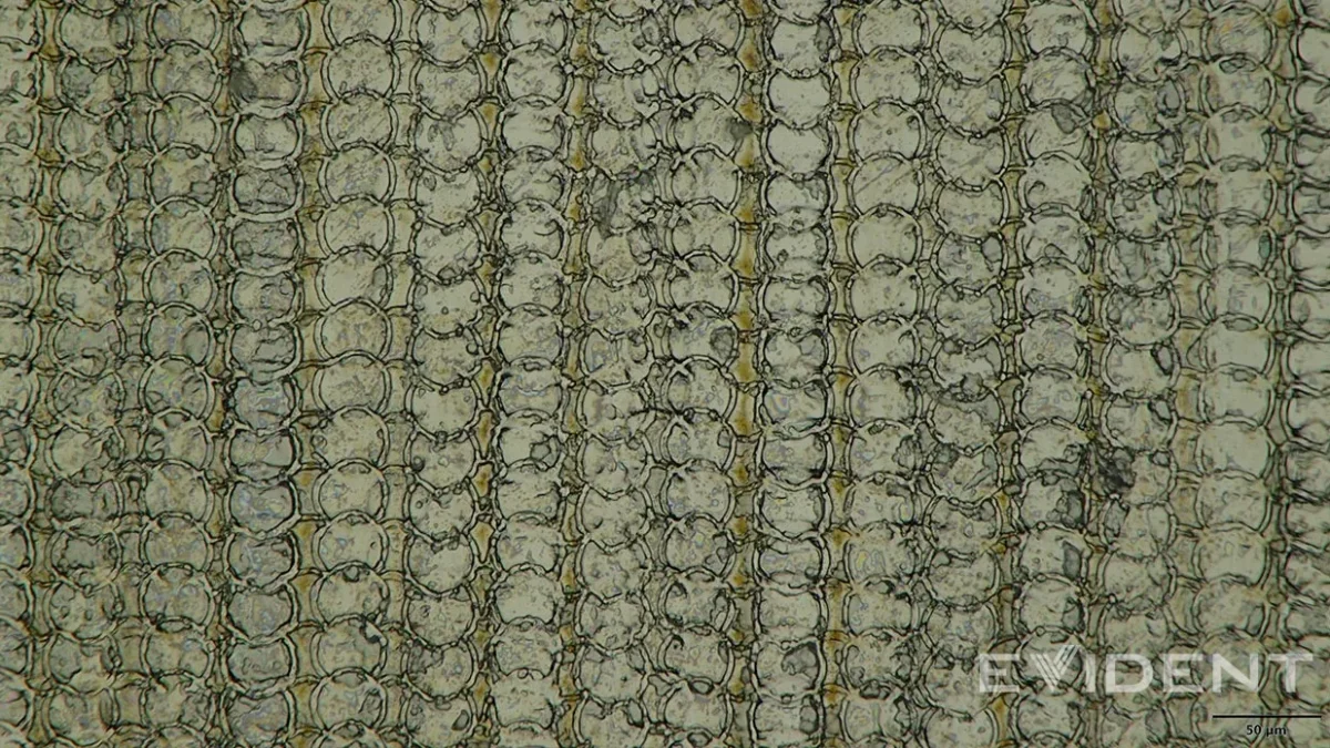 یک نمای بسیار نزدیک از الگوی مشبک و دایره‌ای روی پورت USB-C چاپ سه‌بعدی آیفون (iPhone Air) که بافت چاپی را در سطح میکروسکوپی نشان می‌دهد.