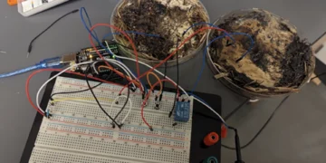 ساخت میکروچیپهای زیستی با یک نوع خاص قارچ