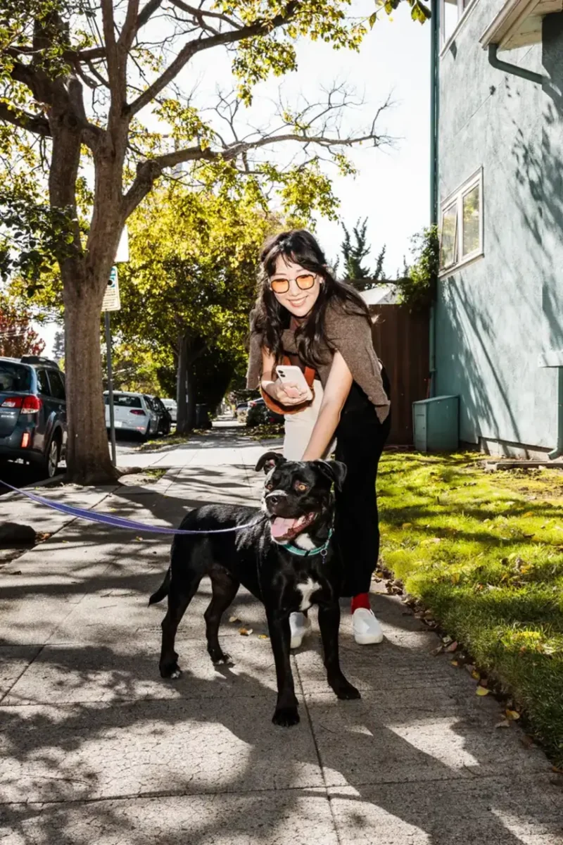 ساخت اپلیکیشن برای کاربران عادی با وایب کدینگ