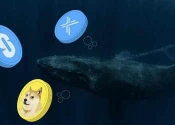 ۲ آلتکوین منتخب نهنگها برای جهش بزرگ دسامبر