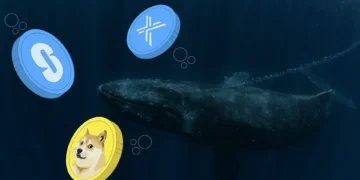 ۲ آلتکوین منتخب نهنگها برای جهش بزرگ دسامبر