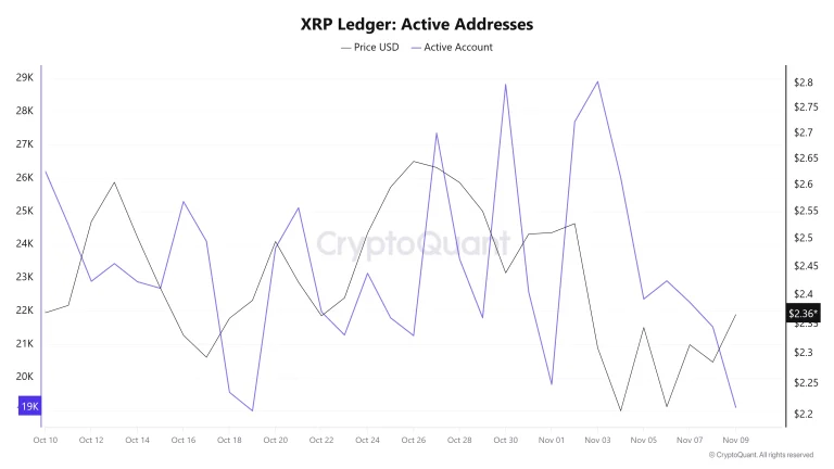 قیمت ریپل (XRP) امروز صعودی شد