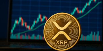 کاهش شدید ذخایر ریپل (XRP) در صرافیها همزمان با دور تازه تأیید ETFها