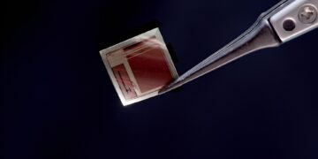 ساخت تراشه ایمپلنت مغزی به ضخامت کاغذ با ۶۵ هزار الکترود