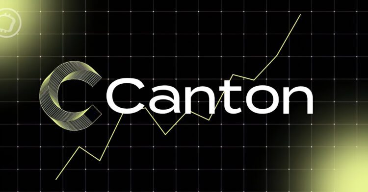 صعود کانتون (CC) به جمع ۳۰ رمزارز برتر؛ چرا کانتون این روزها ترند شده است؟