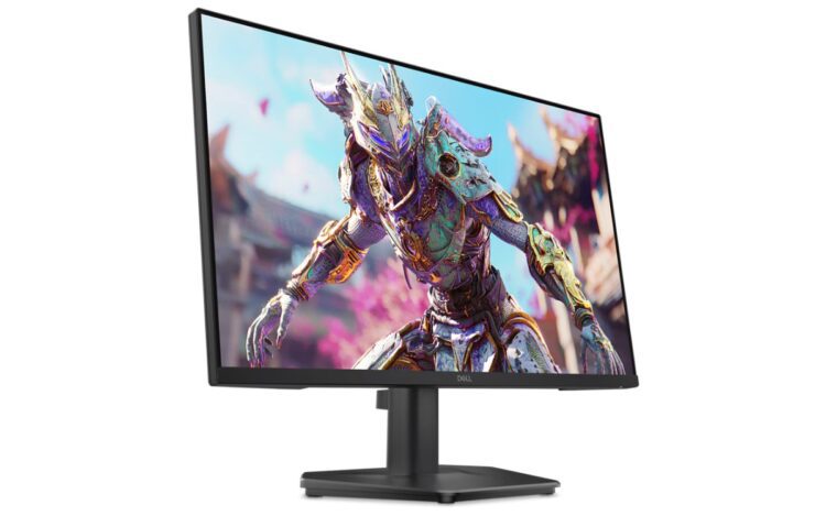مانیتور گیمینگ Dell مدل SE2426HG که تصویری با جزئیات از یک شخصیت بازی (جنگجو) را نمایش می‌دهد.