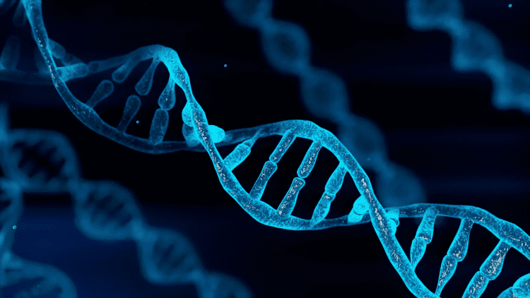 ترمیم DNA