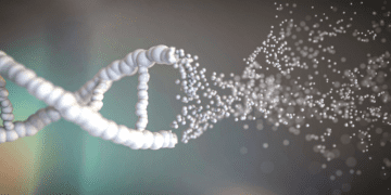 ساخت حسگرهای نورانی برای ردیابی شکست DNA و مشاهده فرایند ترمیم