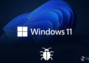 لوگوی گرافیکی ویندوز ۱۱ که در زیر آن آیکون سفید یک حشره (نشان‌دهنده باگ نرم‌افزاری) قرار دارد.