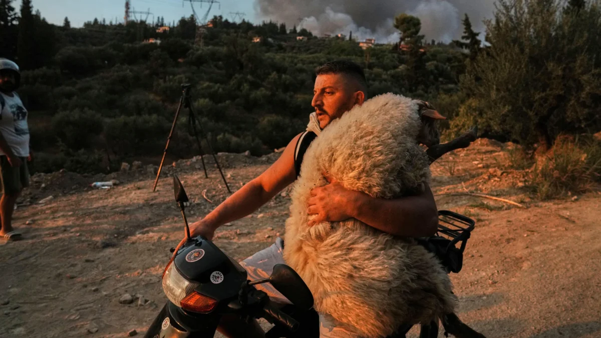 تصاویر علمی برگزیده نیچر ۲۰۲۵