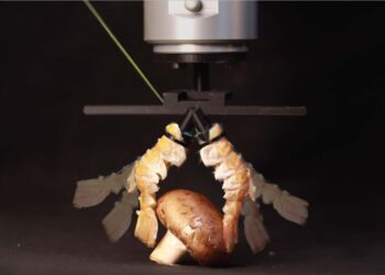 ساخت ربات با پوسته‌های بیرونی سخت‌پوستان