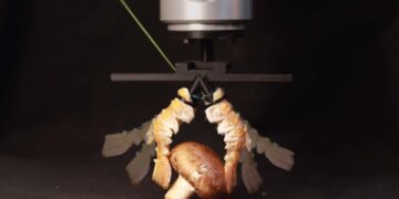 ساخت ربات با پوستههای بیرونی سختپوستان