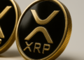 افشای فهرست ثروتمندان ریپل (XRP)؛ آیا سرمایهگذاران خرد در حال حذف شدن هستند؟