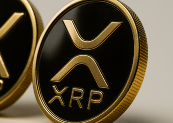 افشای فهرست ثروتمندان ریپل (XRP)؛ آیا سرمایه‌گذاران خرد در حال حذف شدن هستند؟