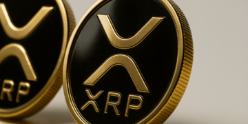 افشای فهرست ثروتمندان ریپل (XRP)؛ آیا سرمایه‌گذاران خرد در حال حذف شدن هستند؟