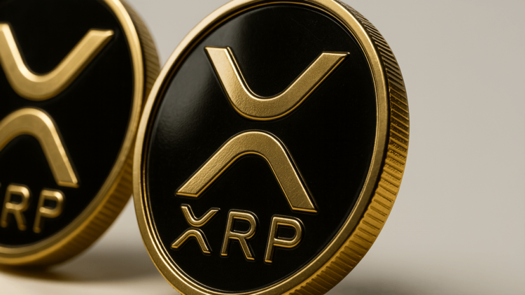 افشای فهرست ثروتمندان ریپل (XRP)؛ آیا سرمایهگذاران خرد در حال حذف شدن هستند؟