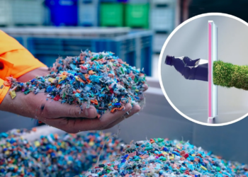 ضایعات کشاورزی