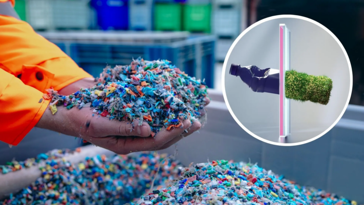 ضایعات کشاورزی