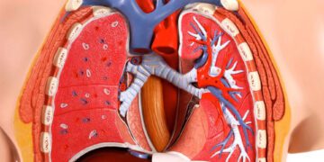 ریه مصنوعی روی تراشه