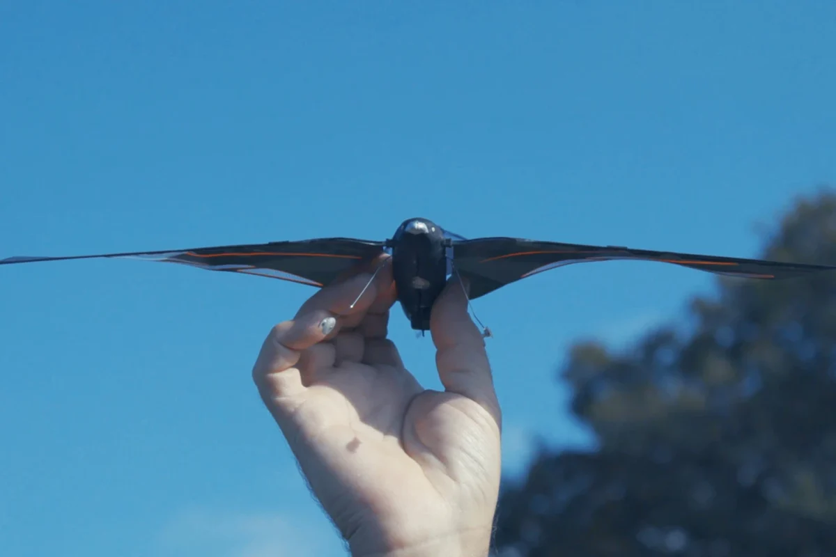 پرنده رباتیک Swift با دو دم قابل تعویض رونمایی شد