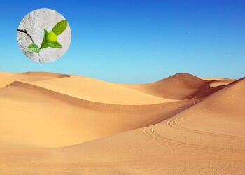 استفاده از شن بیابان با ترکیبات گیاهی در بتن به جای سیمان