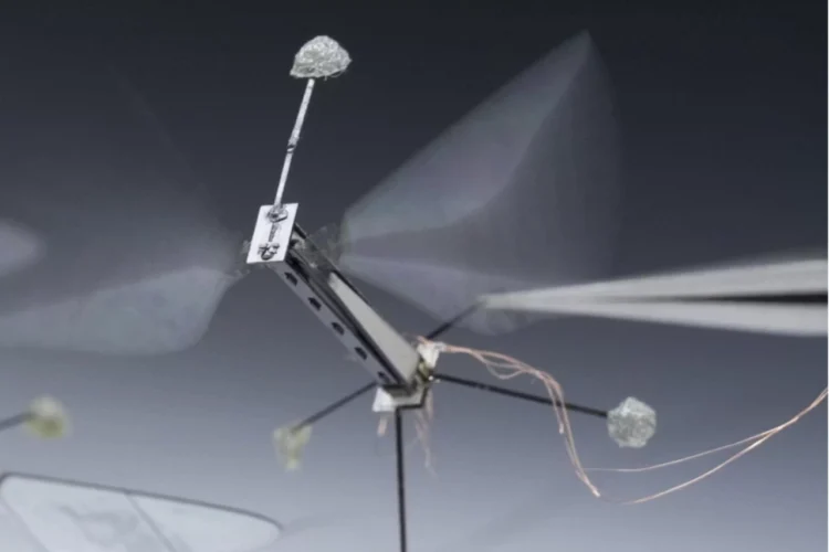 نمونهٔ آزمایشگاهی یک ربات پرندهٔ هم‌اندازهٔ حشره که با بال‌های نازک و سامانهٔ الکترونیکی سبک، حرکت و تعادل را شبیه‌سازی می‌کند.