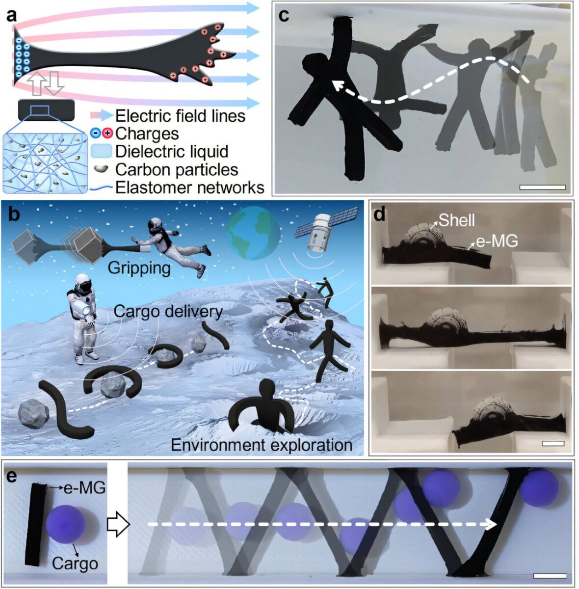 نمای شماتیک و آزمایشگاهی از ربات نرم تغییرشکل‌دهنده 