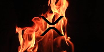 اوج‌گیری نرخ امحای ریپل (XRP) در ۲۰۲۶؛ نشانه‌ای از بازیابی یا امیدی کاذب؟