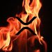 اوج‌گیری نرخ امحای ریپل (XRP) در ۲۰۲۶؛ نشانه‌ای از بازیابی یا امیدی کاذب؟
