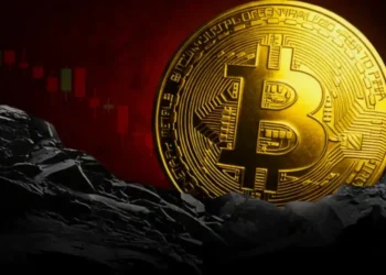 چه کسانی واقعاً در معاملات بیتکوین سود میکنند؟ نگاهی به دادههای هولدرهای کوتاهمدت و بلندمدت