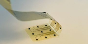 نخستین آزمایش انسانی رابط مغزی گرافنی با موفقیت انجام شد