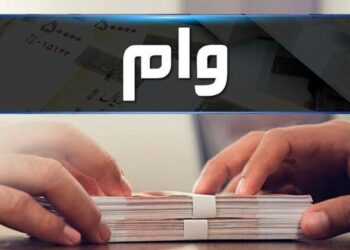 بیشترین وام در سال ۱۴۰۴ را چه کسانی گرفتند؟