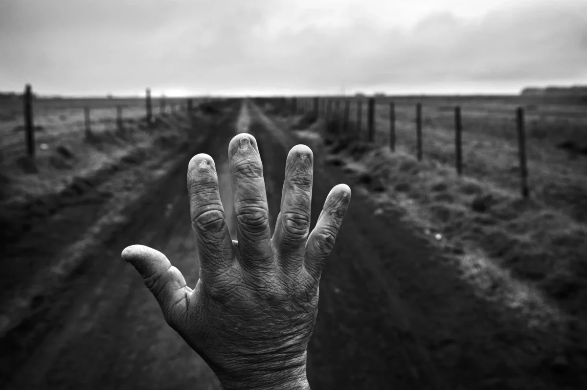 برندگان مسابقه World Press Photo 2026