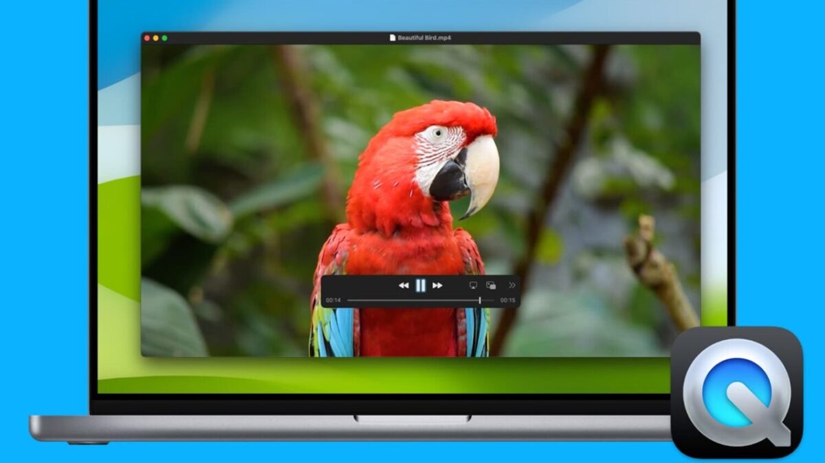 QuickTime Player تنها یک پخشکننده ویدیو نیست و قابلیت Export با کیفیتهای مختلف را نیز در اختیار کاربران macOS قرار میدهد.
