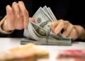 بانک مرکزی برای دلارهای خانگی فرش قرمز پهن کرد