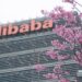 نمای زاویه‌دار از بالای ساختمان شرکت علی‌بابا با تابلوی بزرگ و نارنجی‌رنگ Alibaba در بالای نما، در حالی که شاخه‌های پر از شکوفه‌های صورتی درختان در پیش‌زمینه تصویر قرار دارند.