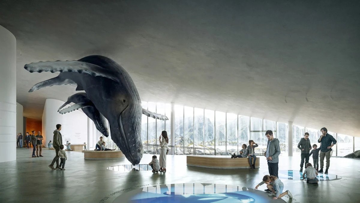 فضای داخلی موزه The Whale با مدلهای بزرگ نهنگ، بازدیدکنندگان و پنجرههای سراسری رو به طبیعت ساحلی نروژ