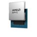 تقاضا برای پردازندههای AMD Venice سر به فلک کشید