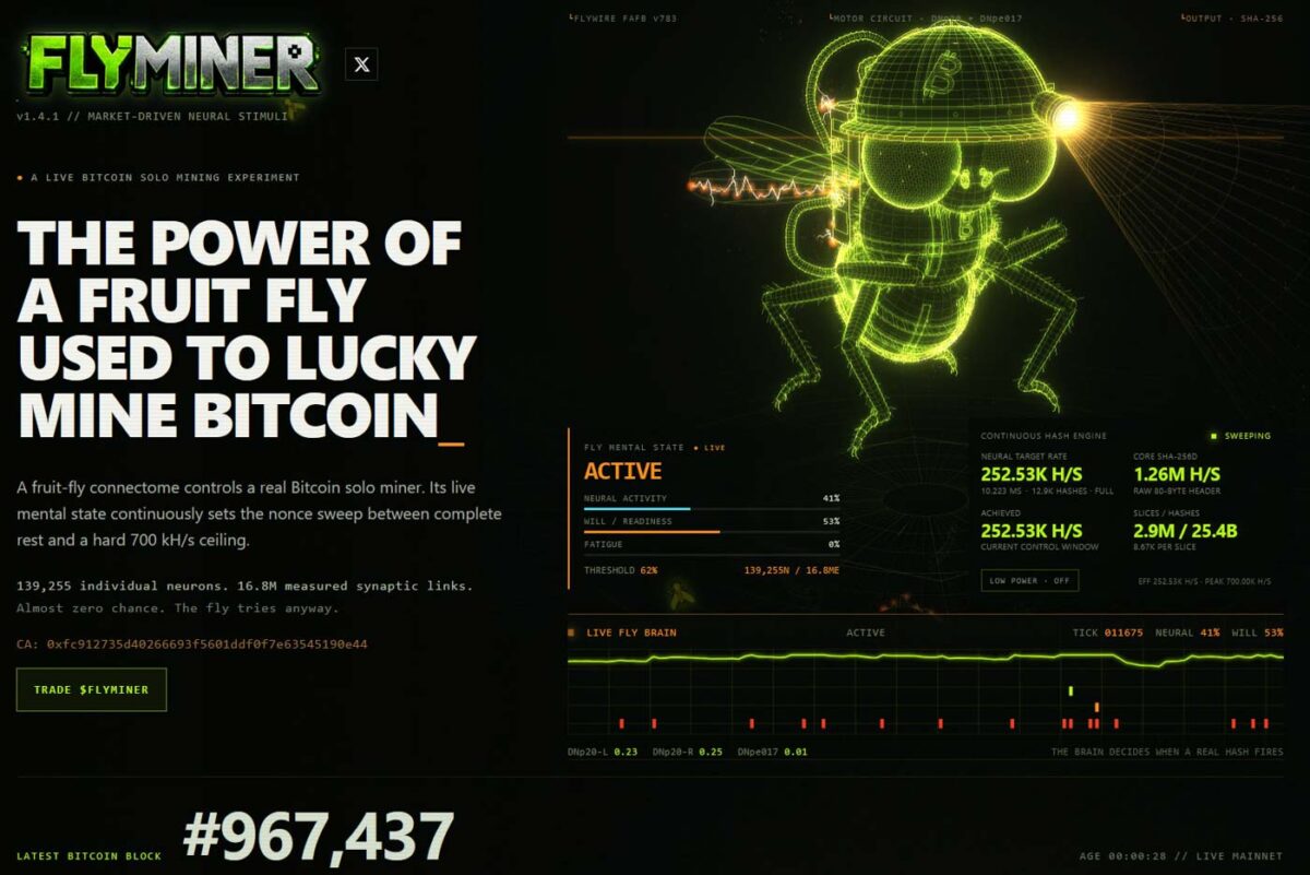 پروژه FlyMiner برای استفاده از شبکه عصبی مغز مگس میوه در فرایند استخراج بیتکوین